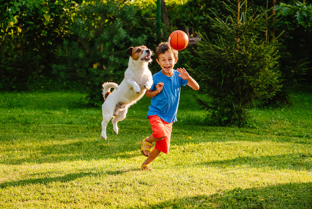 Young boy playing with dog